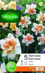 Narcisse Double Replete (x5)